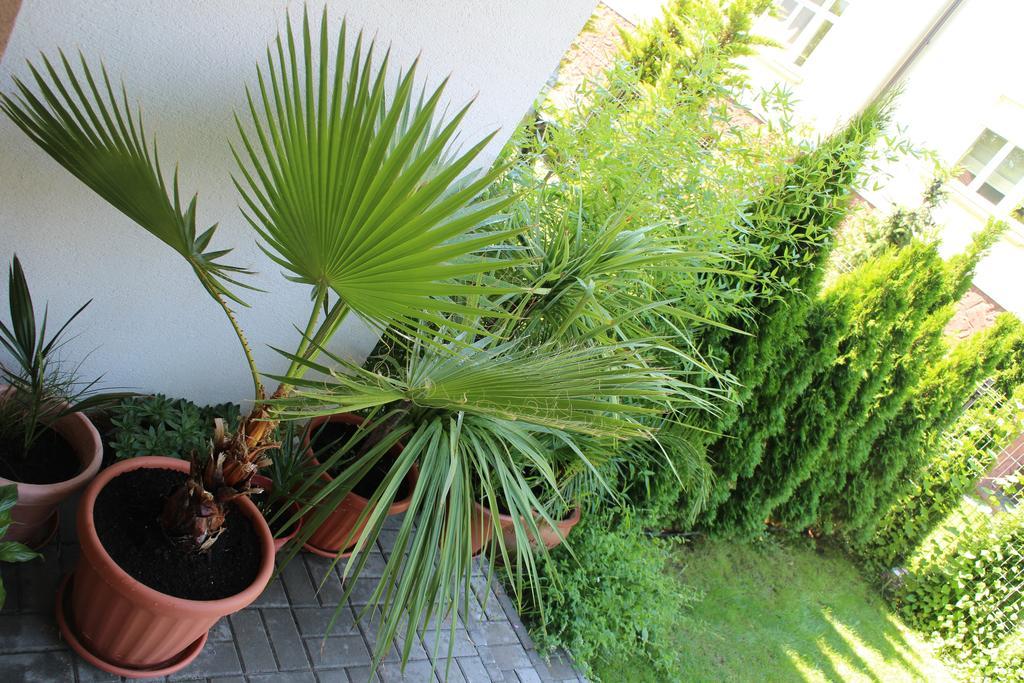 Bamboo Wellness Apartment Siófok Zewnętrze zdjęcie