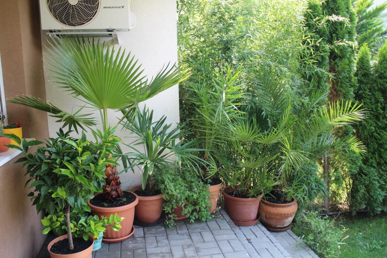 Bamboo Wellness Apartment Siófok Zewnętrze zdjęcie